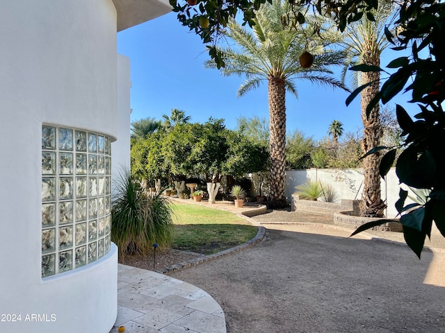 view of yard with a patio area