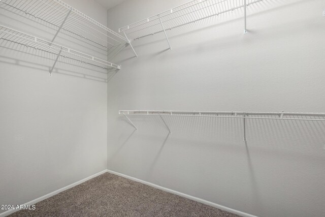 15631 W Bethesda Ct, Surprise, AZ 85374 - spacious closet with carpet