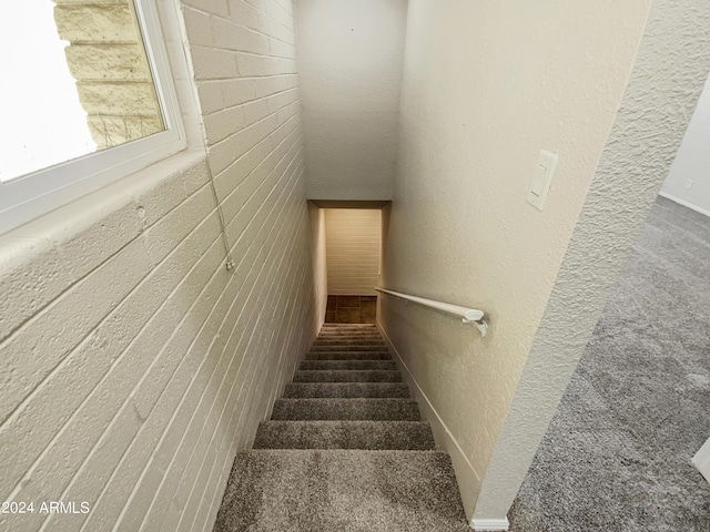 stairs featuring carpet flooring