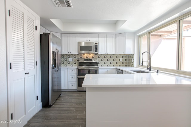 kitchen featuring dark wood-style flooring, a sink, visible vents, appliances with stainless steel finishes, and decorative backsplash