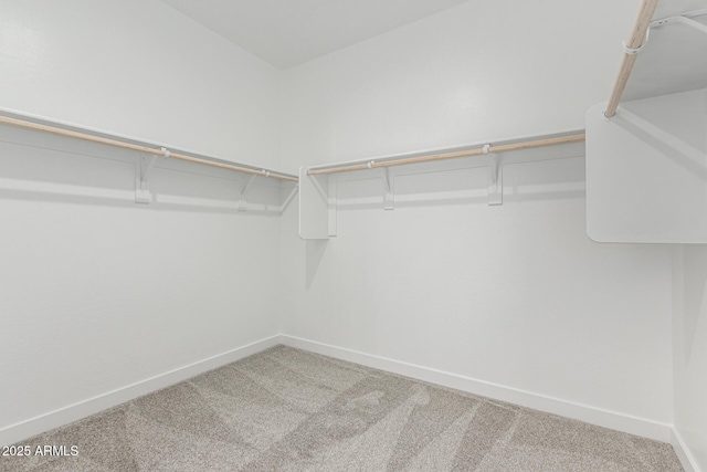 spacious closet featuring carpet