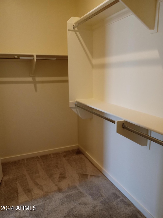 walk in closet with carpet flooring