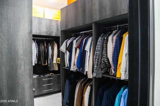 view of spacious closet