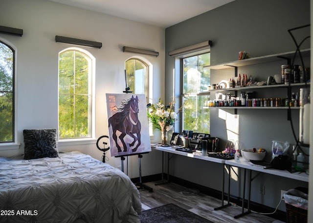 bedroom with multiple windows and wood finished floors