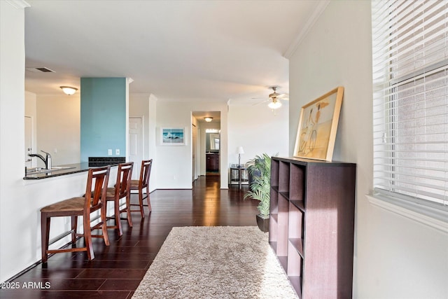 interior space with ornamental molding, dark wood-type flooring, a sink, and visible vents