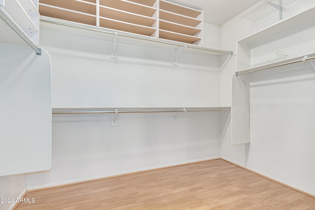 spacious closet featuring wood-type flooring