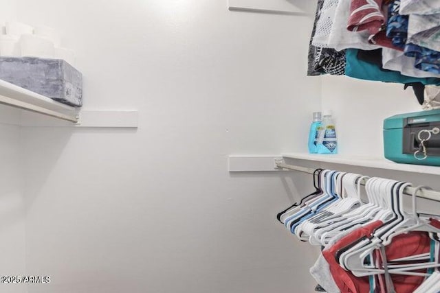 10448 W Caron Dr, Sun City, AZ 85351 - view of walk in closet