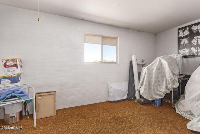 10448 W Caron Dr, Sun City, AZ 85351 - recreation room with carpet floors