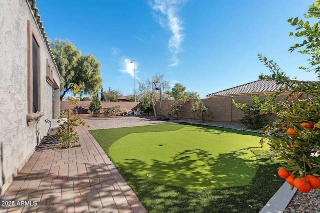 view of yard with a patio