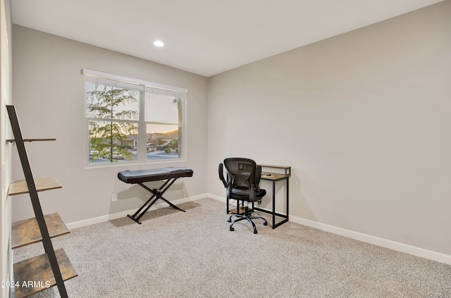 office area featuring light carpet