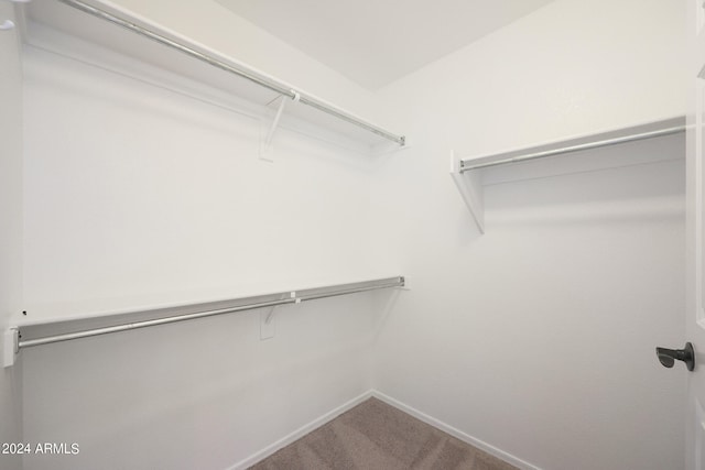 walk in closet featuring carpet flooring