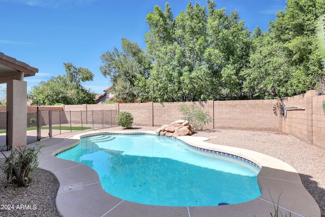 view of pool featuring a patio area