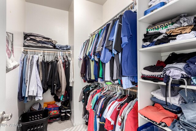 spacious closet featuring carpet flooring