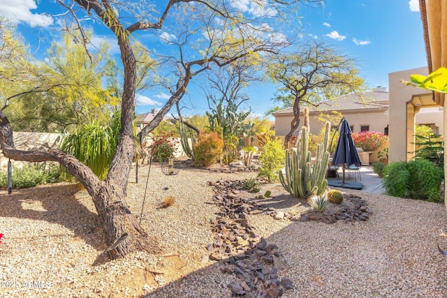 view of yard with a patio area