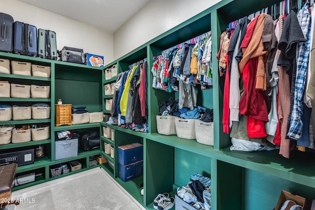 7694 W Desert Spoon Dr, Peoria, AZ 85383 - view of spacious closet