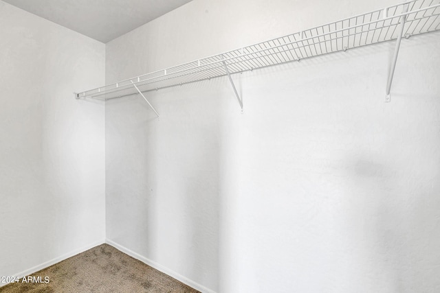 spacious closet with carpet floors