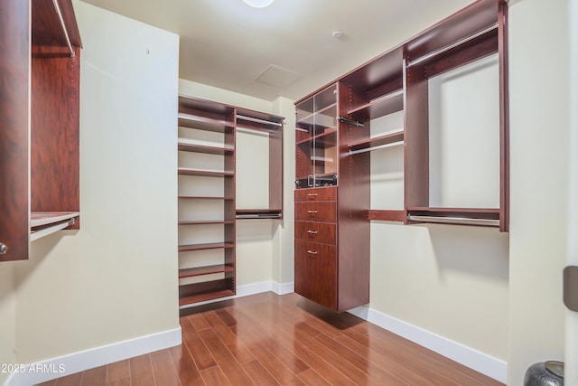 spacious closet featuring dark wood-style flooring