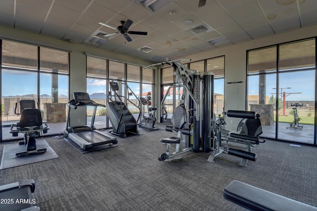 exercise room with ceiling fan, a paneled ceiling, and carpet flooring