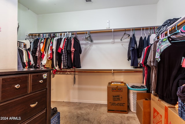 spacious closet with light carpet