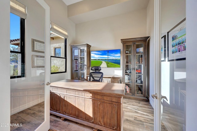 bathroom with hardwood / wood-style flooring and french doors