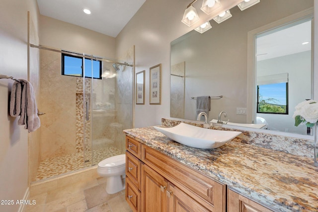 bathroom featuring vanity, walk in shower, and toilet