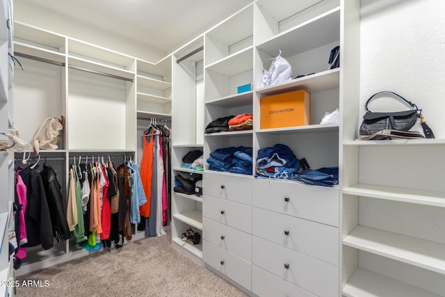 spacious closet featuring light colored carpet