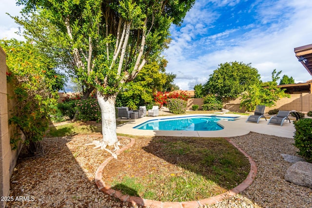 view of swimming pool with a patio area