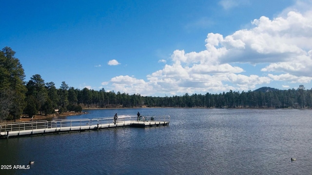 Listing photo 3 for 1986 S Woodland Ln Unit 43, Pinetop-Lakeside AZ 85929