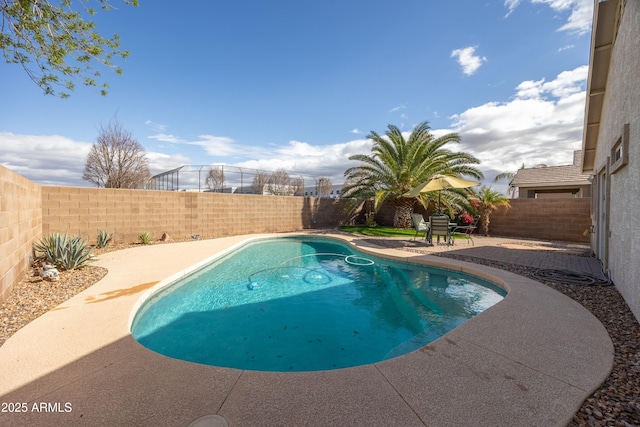 view of swimming pool featuring a fenced backyard and a patio