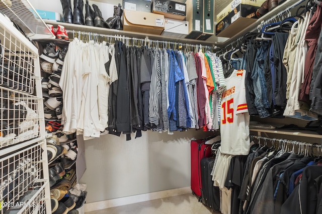 view of spacious closet