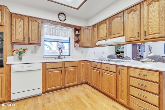 kitchen featuring light wood finished floors, white dishwasher, black electric cooktop, under cabinet range hood, and a sink