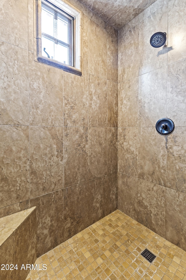 10125 E Cortez Dr, Scottsdale, AZ 85260 - bathroom with tiled shower