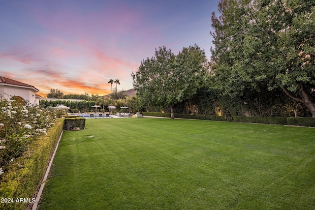 yard at dusk with a pool