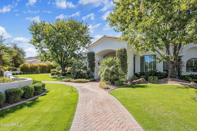 view of front facade with a front lawn