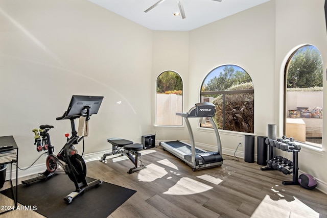 exercise area with a high ceiling, wood-type flooring, and ceiling fan