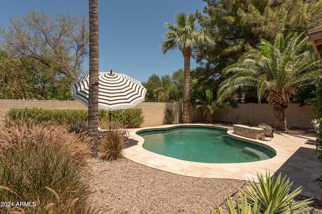 view of pool with a patio