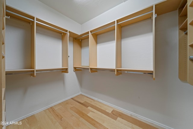 spacious closet featuring wood-type flooring