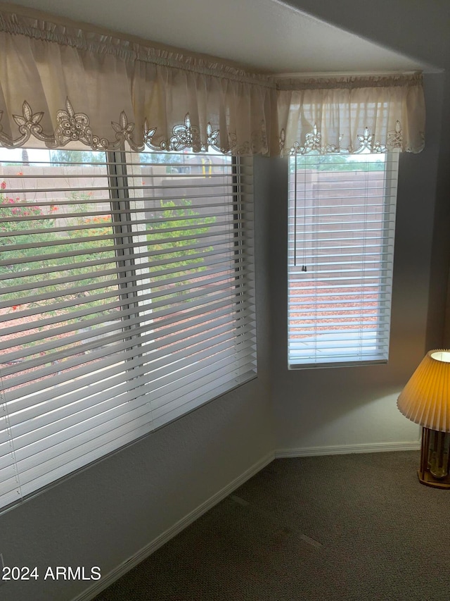 unfurnished dining area featuring carpet floors