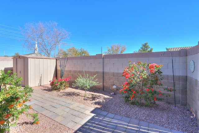 view of patio / terrace featuring a shed