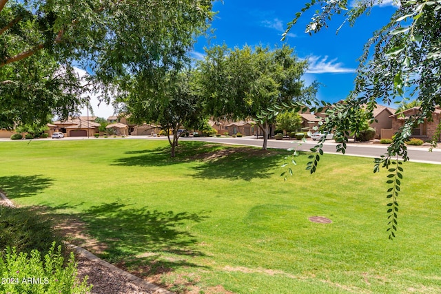 view of community with a lawn