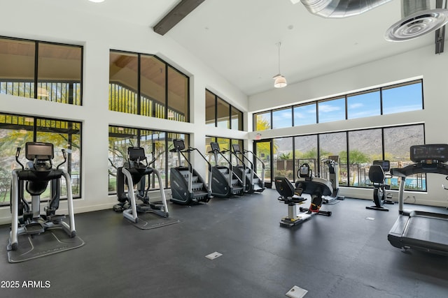 exercise room featuring a towering ceiling and baseboards