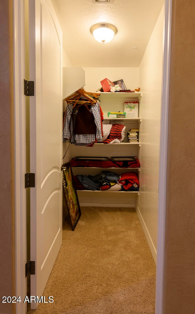 walk in closet with carpet