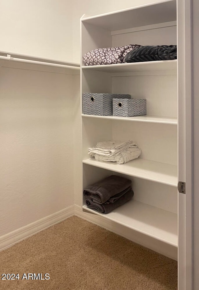 spacious closet featuring carpet floors