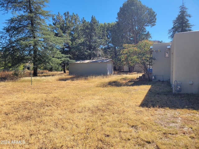 view of yard with a storage unit