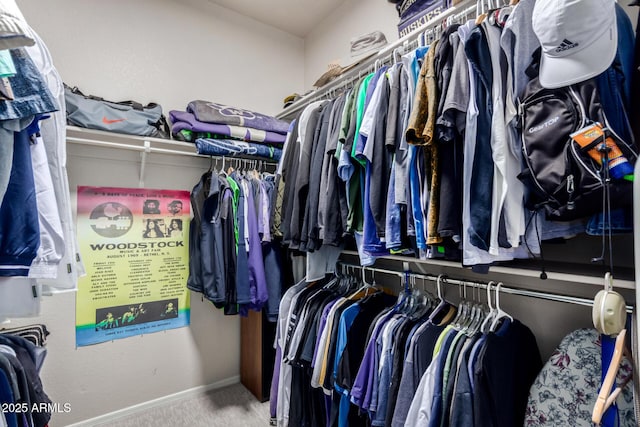 23813 S Pleasant Way, Sun Lakes, AZ 85248 - walk in closet featuring carpet floors