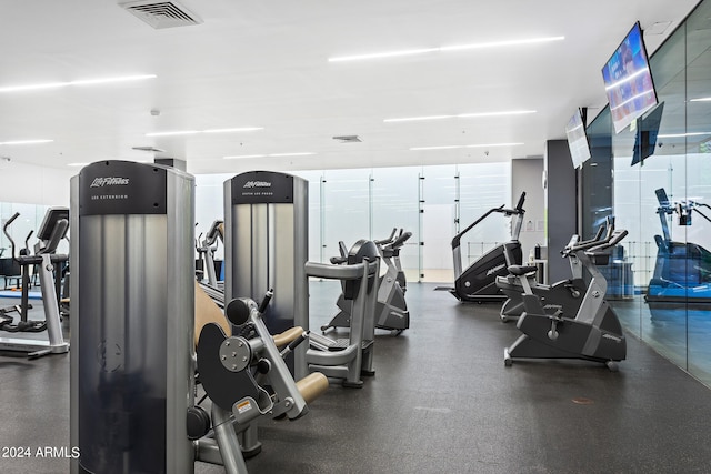 gym with floor to ceiling windows