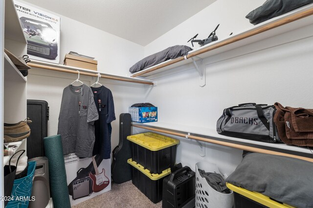 spacious closet with carpet floors