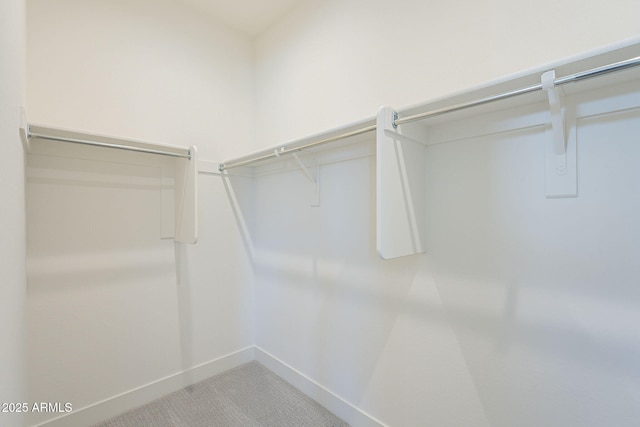 spacious closet featuring carpet floors