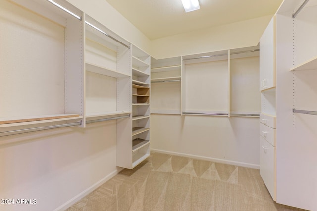 walk in closet featuring light colored carpet