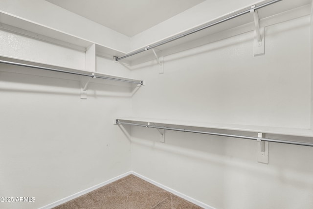 10304 E Plata Ave, Mesa, AZ 85212 - spacious closet with carpet flooring